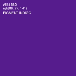 #561B8D - Pigment Indigo Color Image